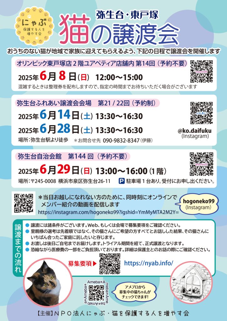 【やよい台】保護猫譲渡会のご案内　6/14（土）・6/28（土）